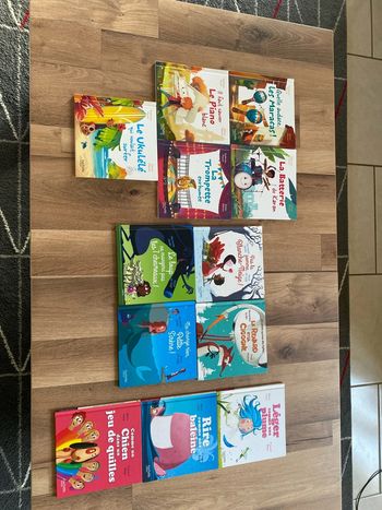 Livres hachette jeunesse mc Donald