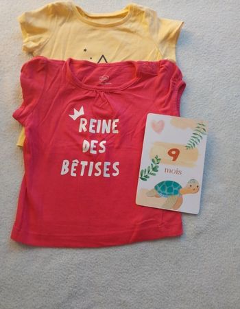 Lot 2 t-shirt 9 mois 