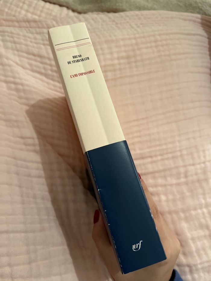 Livre « l’ami impossible » - photo numéro 3