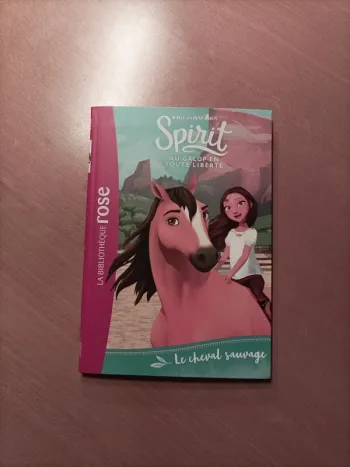 Spirit numéro 1