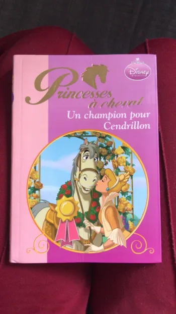 Livre Disney