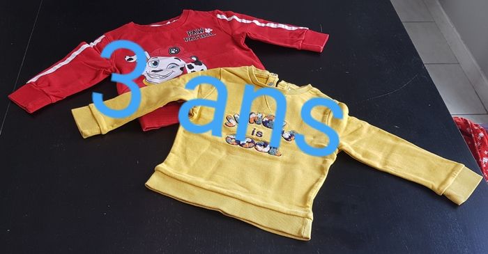 Lot de 2 sweatshirt garçon 3 ans