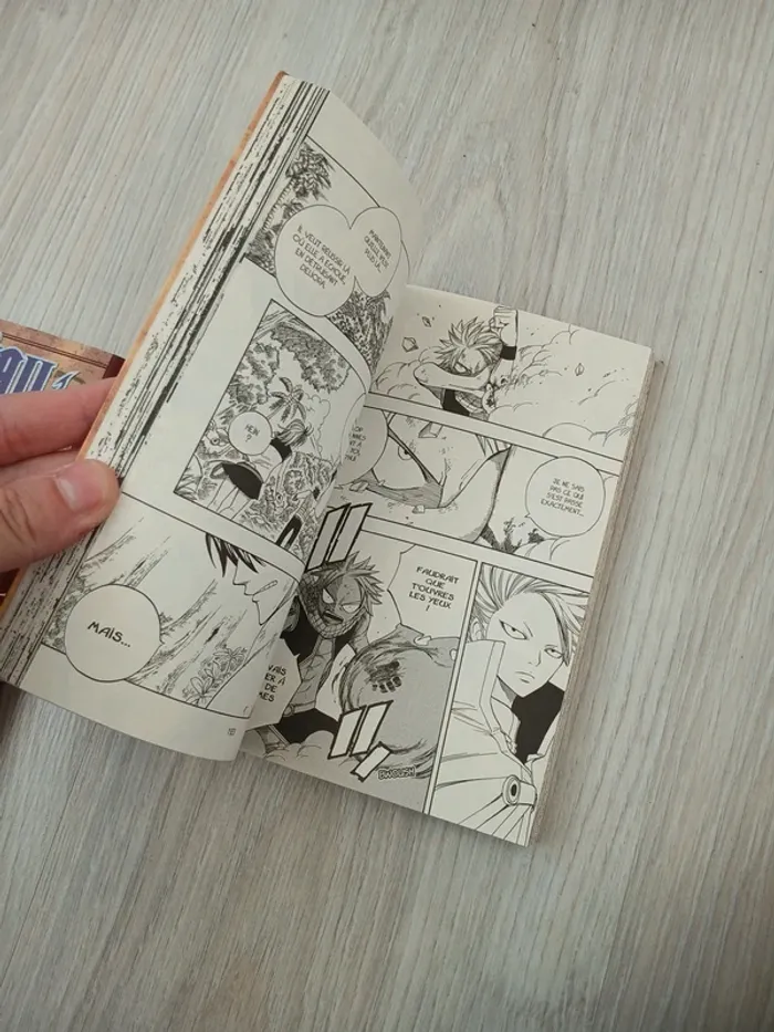 Fairy tail 5 - photo numéro 3