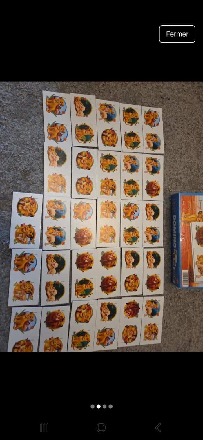 Domino le roi lion - photo numéro 2