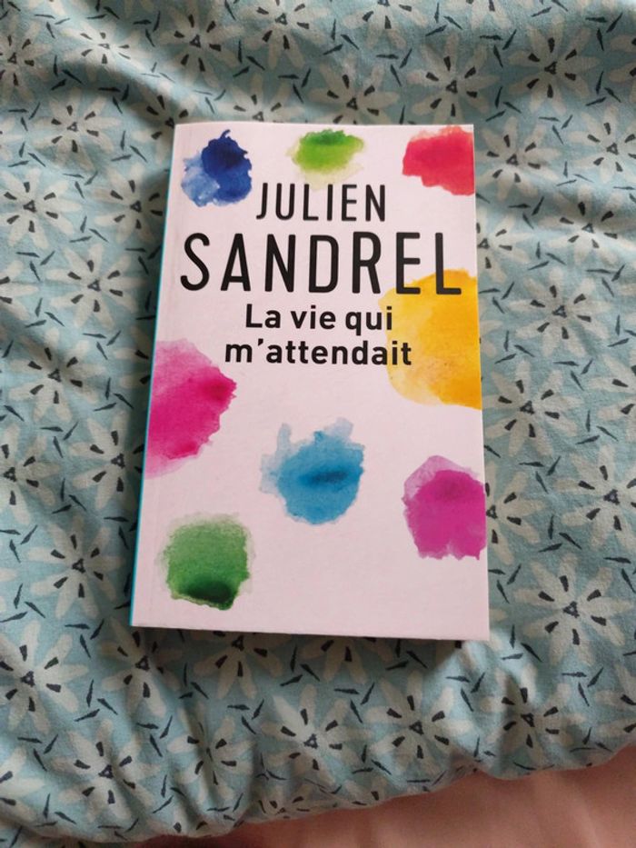 Julien Sandrel la vie qui m'attendait