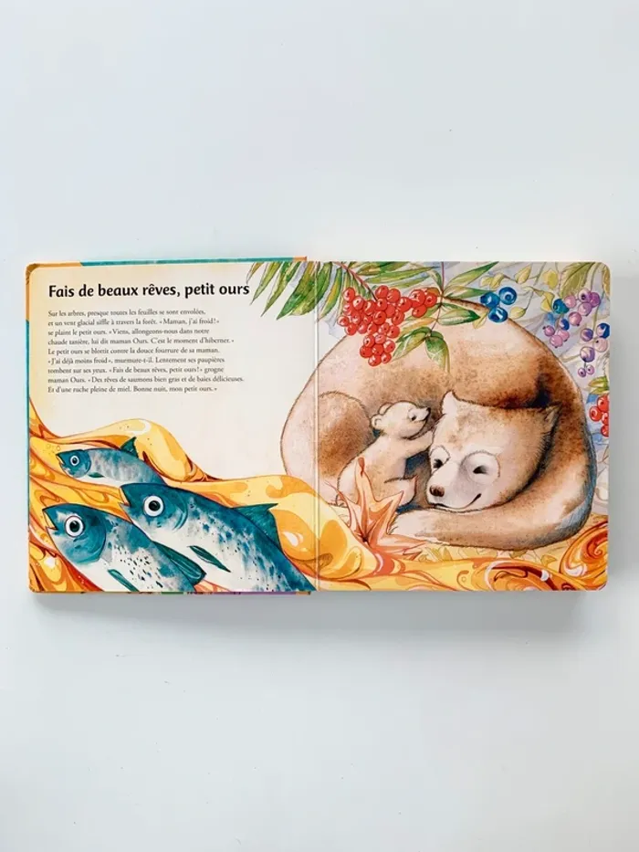 Livre 📖 Histoires pour faire de beaux rêves - photo numéro 5