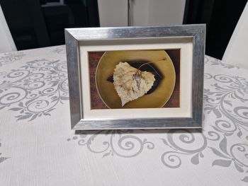 Cadre déco moderne – feuille séchée sur fond artistique