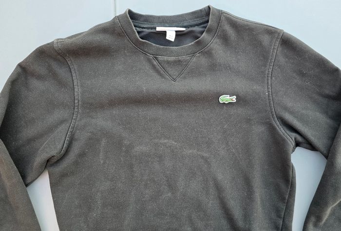 Pull sweat homme taille XS ou 2 Lacoste - photo numéro 2
