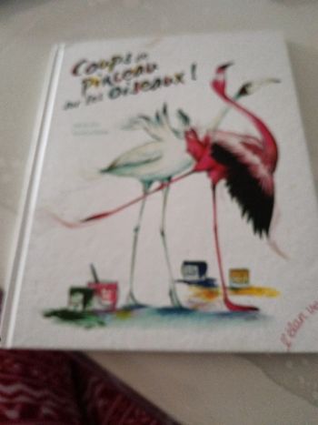 Livre coup de pinceau sur les oiseaux collection élan vert