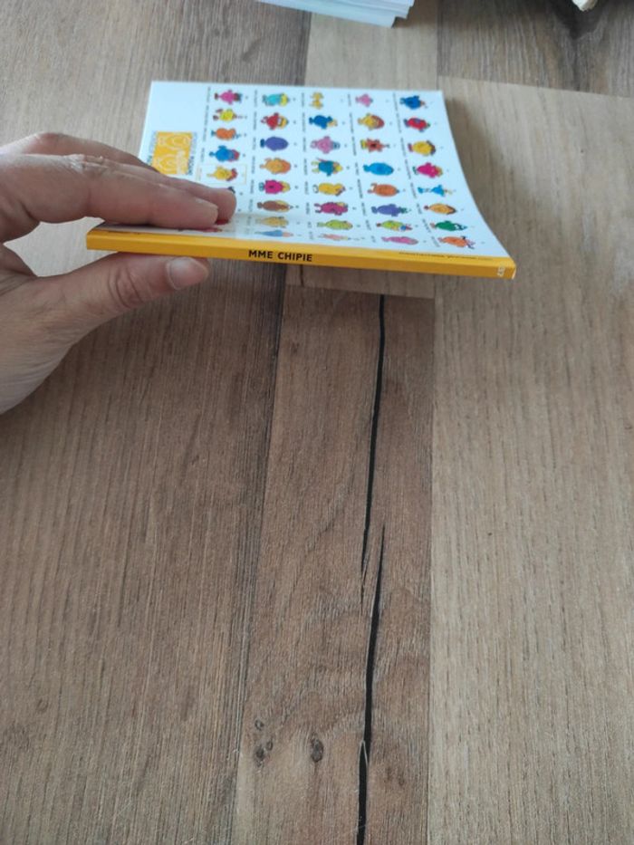 Livre : Mme chipie - photo numéro 3