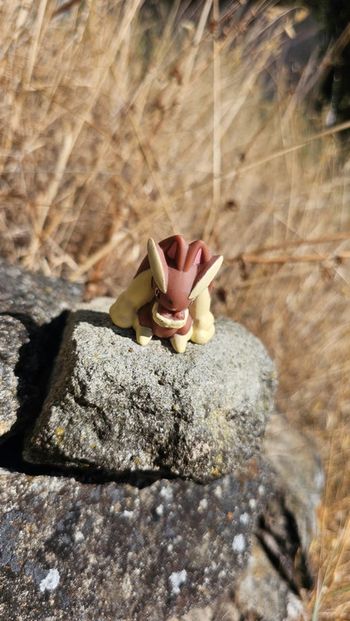 Super figurine Pokemon Nintendo finger puppet lockpin