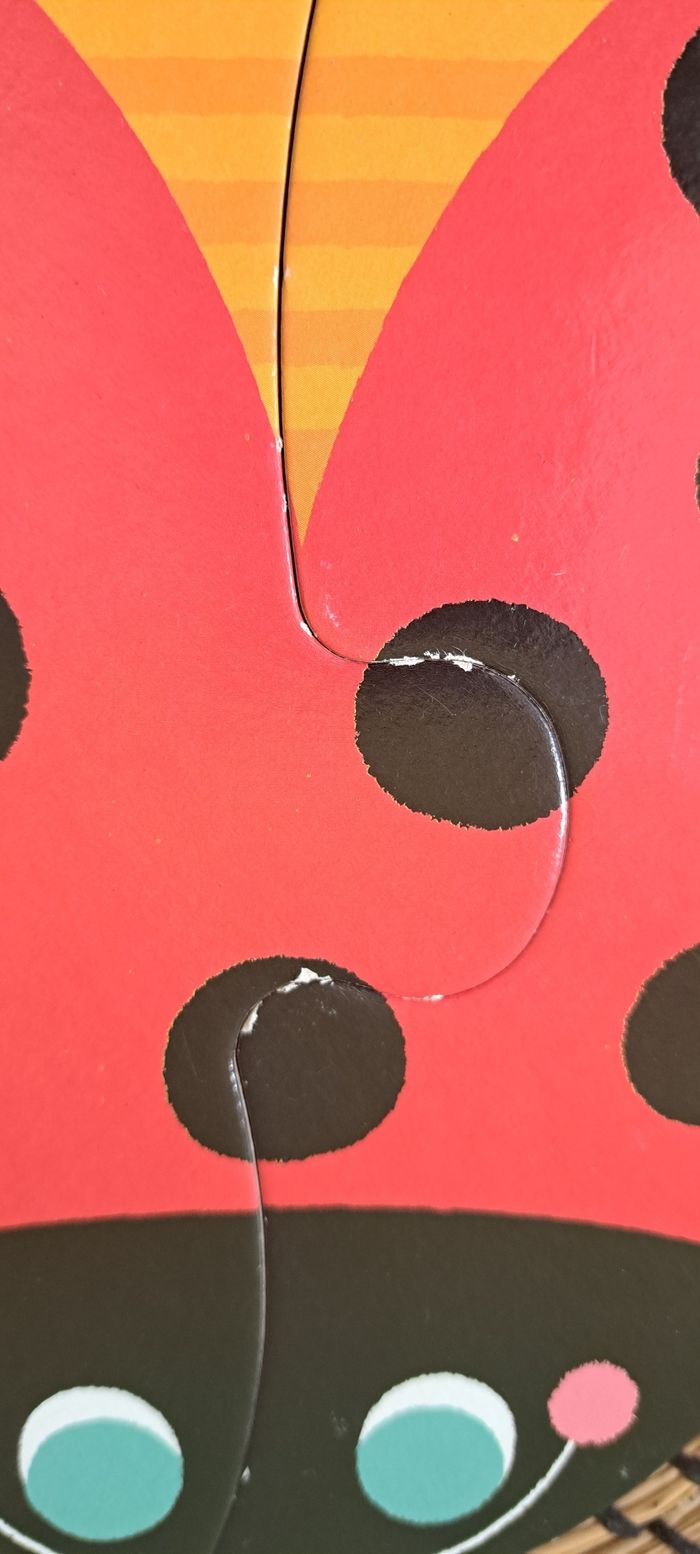 Puzzle - photo numéro 6