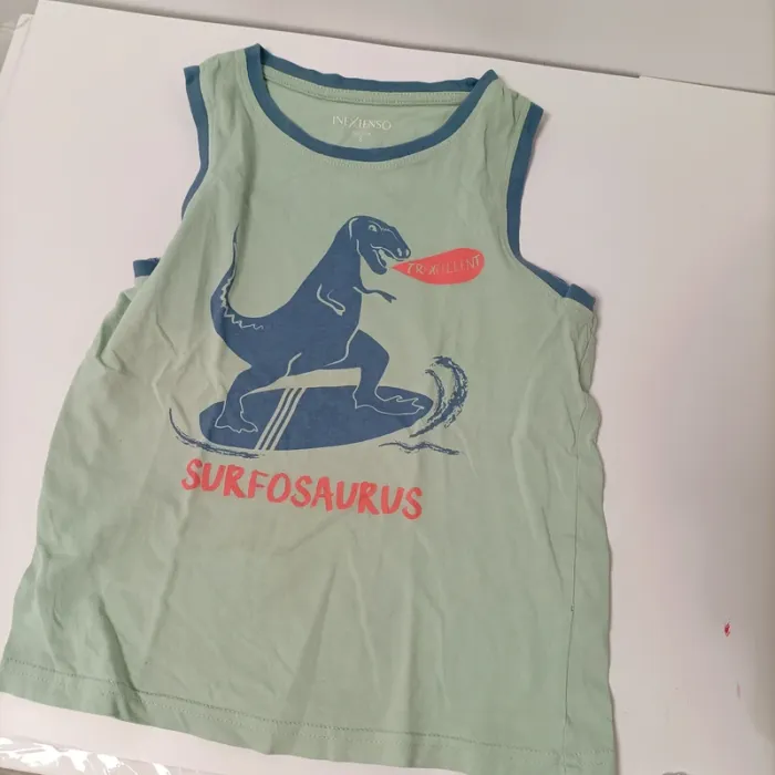 Lot 15 hauts garçon 8-10 ans manches longues et courtes dinosaures, Minions, basiques LOT025 - photo numéro 7