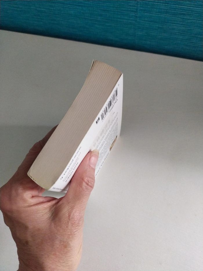 Lundi Mélancolie de Nicci French - photo numéro 6