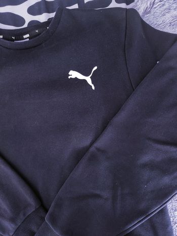 Sweat Puma