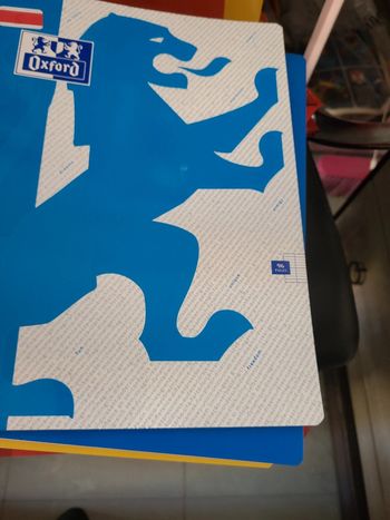 8 Cahiers 96 pages 24x32