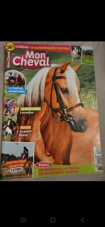 Mon cheval n°11 et 17