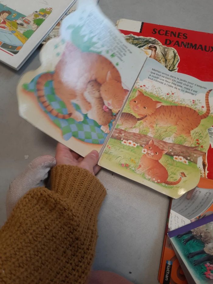 Livre animaux lot - photo numéro 9