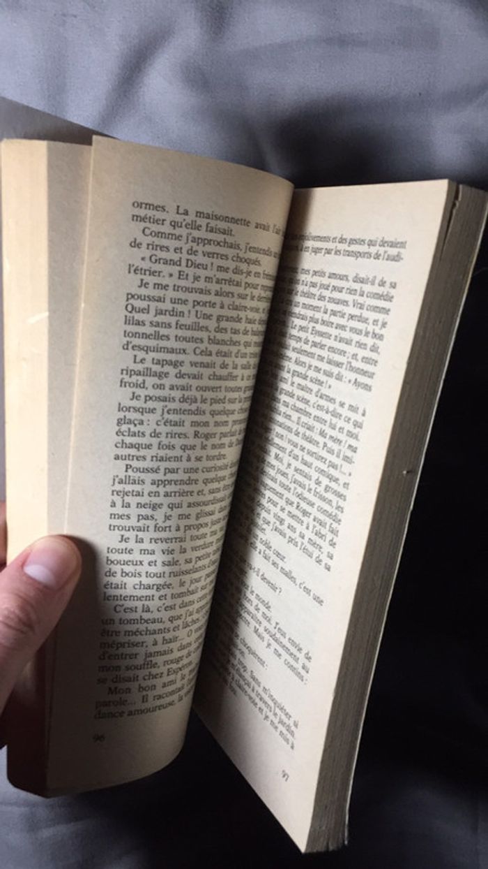 Le petit chose Alphonse Daudet texte intégral Classiques Français - photo numéro 11