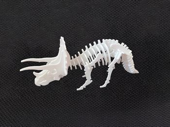 puzzle 3d  triceratops 