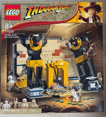 LEGO Indiana Jones 77013 : l’évasion du tombeau perdu