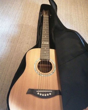 Guitare acoustique harley benton