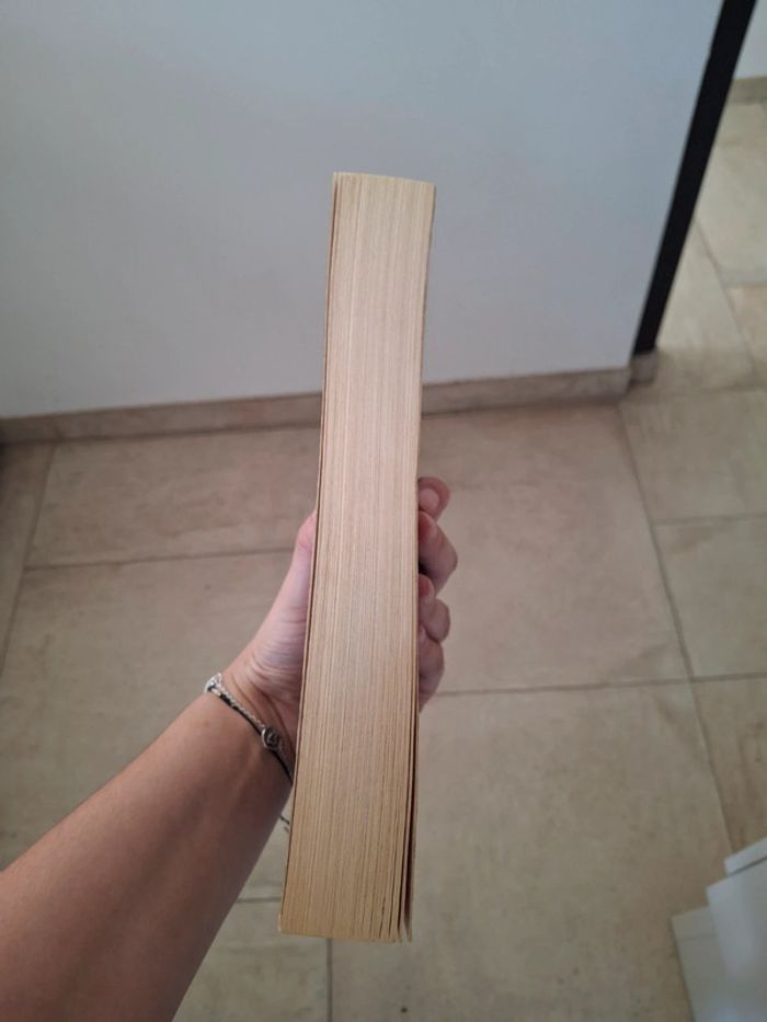 Roman: Rebelle du désert de Alwyn Hamilton tome 1 - photo numéro 5