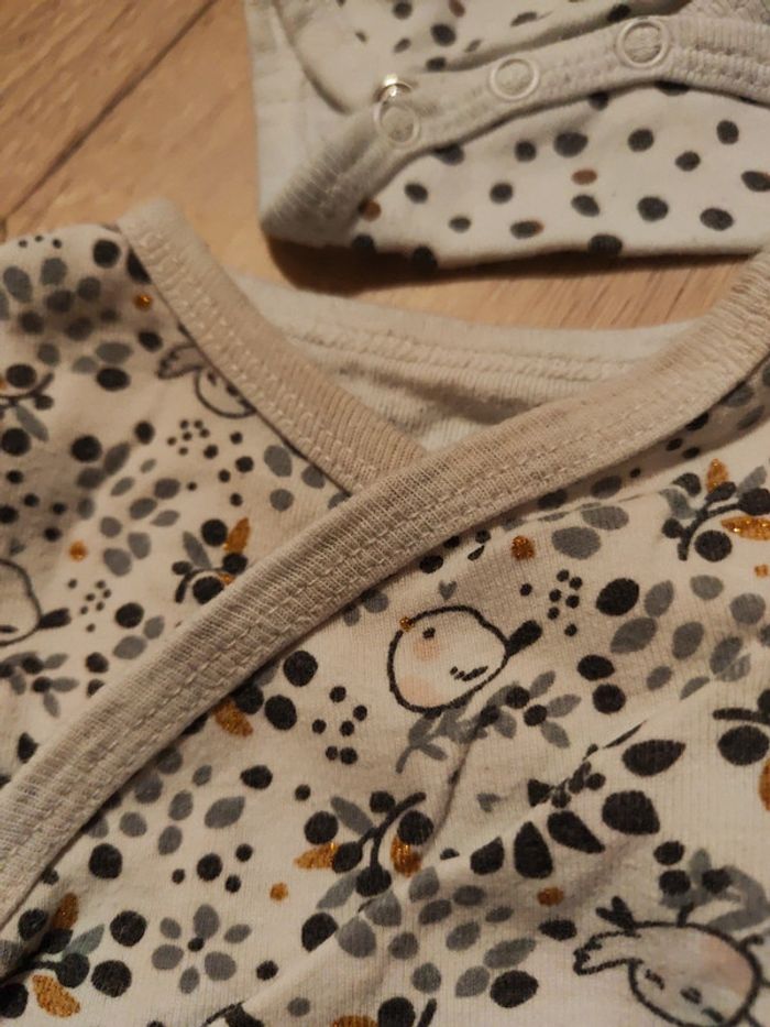 Ensemble DPAM oiseau - photo numéro 7