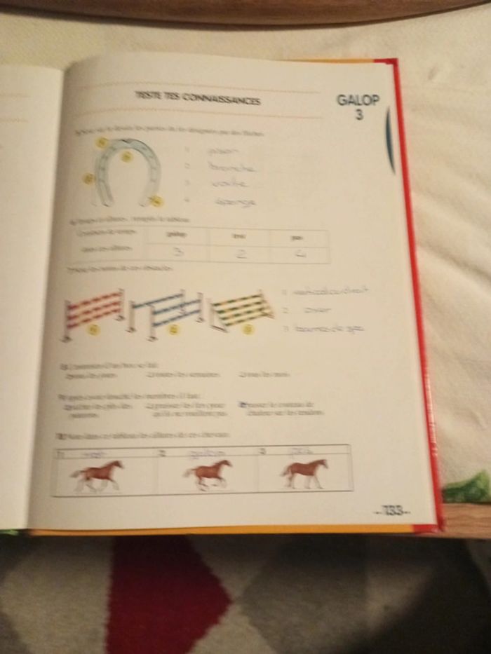Livres galops 1 à 4/ galops 5 et 6/ Galops 1 à 4 questions réponses - photo numéro 8