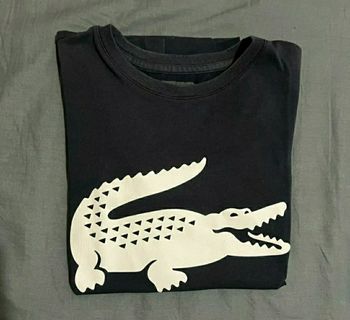 Tee Shirt lacoste