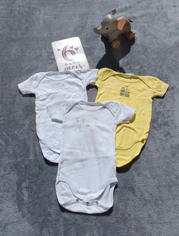 Lot de 3 bodies manches courtes 6 mois