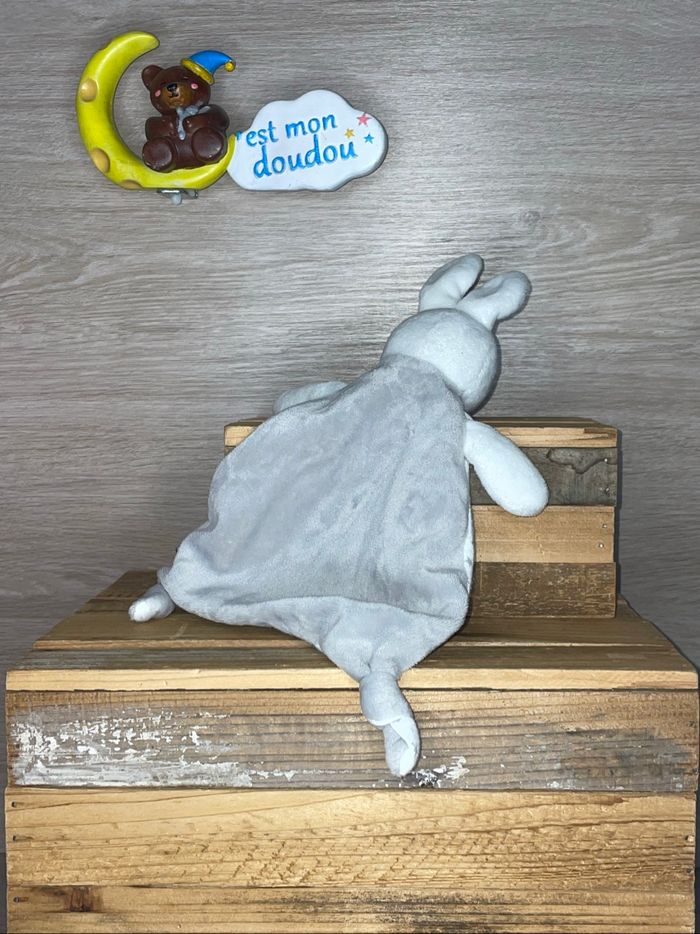 OR120 doudou lapin 🐰 orchestra - photo numéro 2