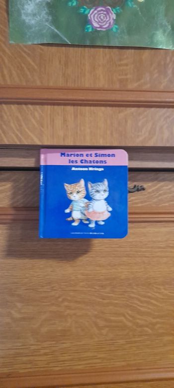 Livre marion et Simon les chatons