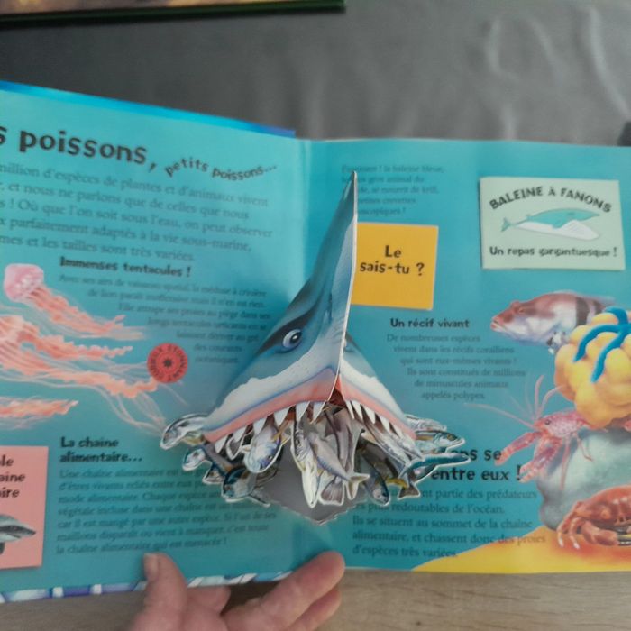 magnifique livre pop up Etranges océans - photo numéro 2