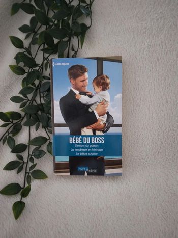 🌸Livre romance bebe du boss🌸