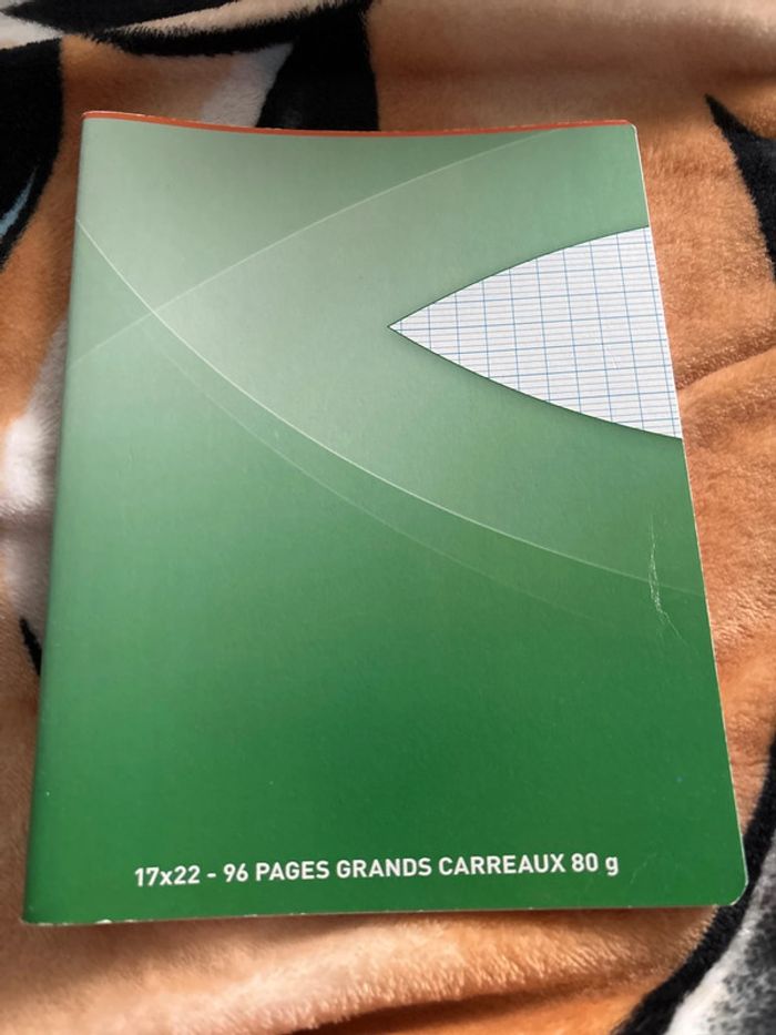 Lot cahier - photo numéro 9