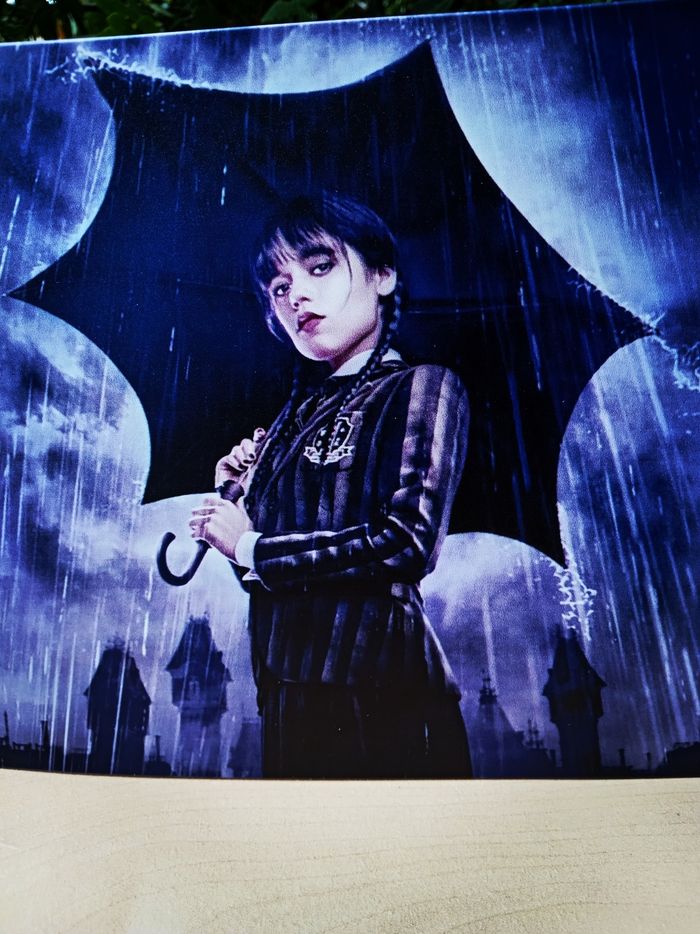 Plaque murale en métal collector de Mercredi Addams de la série Wednesday - photo numéro 2