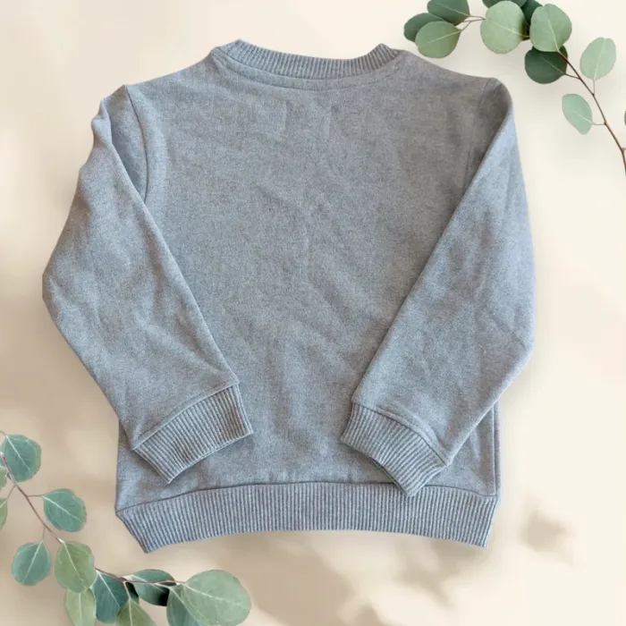 Sweat enfant T. 4-5 ans Neuf sans étiquette - photo numéro 2