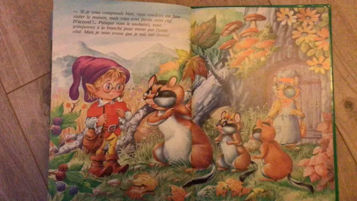 Livre le petit lutin chez les ratons - photo numéro 3
