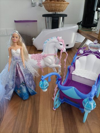 Barbie Princesse Flocon et son carosse