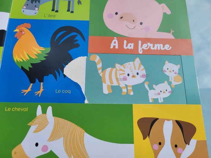 Grand livre à flaps 🦍 Mon Bel Imagier 🦜 Les animaux 🐆 73 - photo numéro 16