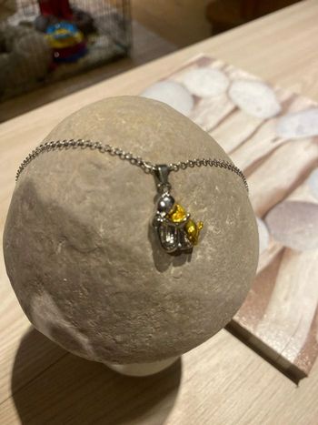 Collier bi color femme et son chien