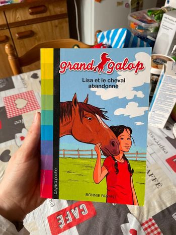 Livre grand galop Lisa et le cheval abandonne