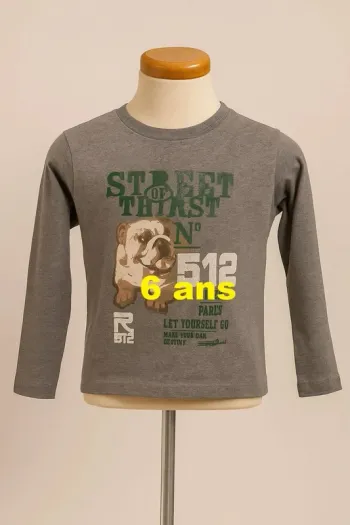 Tee shirt manche longue gris motif multicolore RG 512 Taille 6 ans