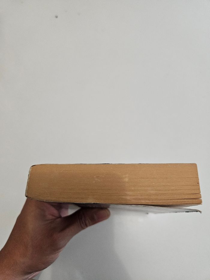 Peter Robinson: Tome 5 "Noir comme neige" - photo numéro 5