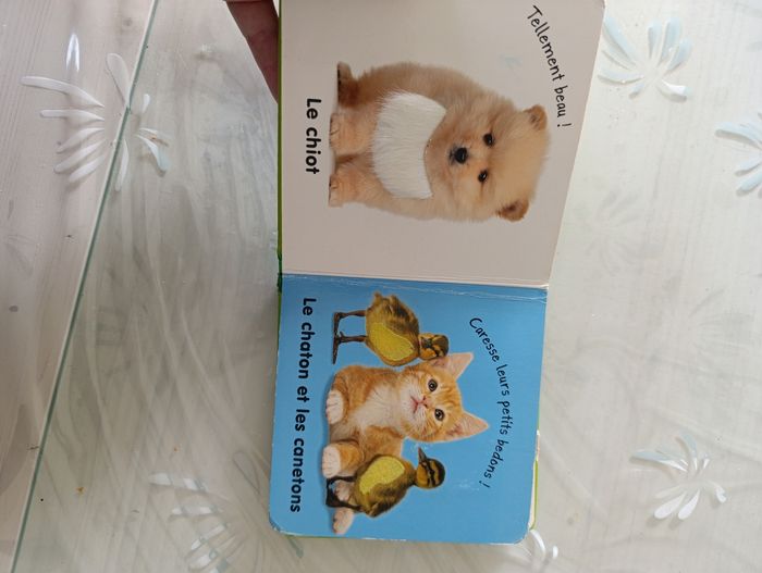 Lot de 5 livres pour petit - photo numéro 9