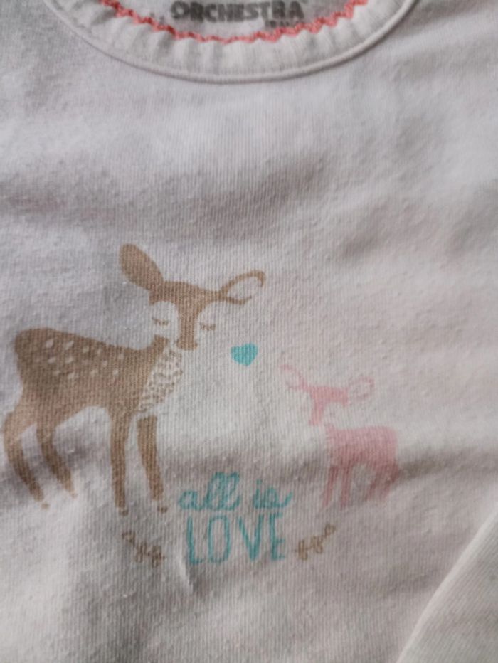 Lot 3 bodies 🦌 T71 - photo numéro 3