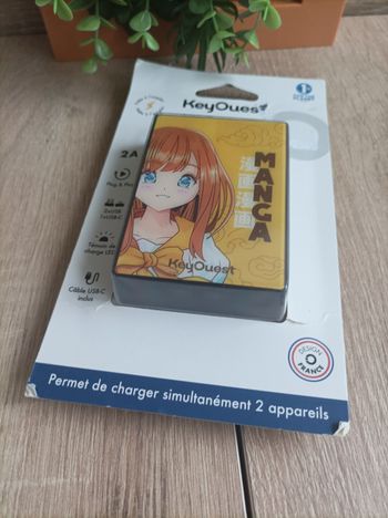 Batterie nomade Manga keyouest chargeur .