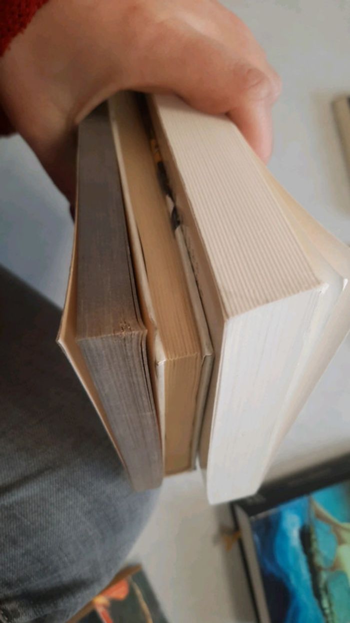 Lot 3 livres voyage et esclavages - photo numéro 7