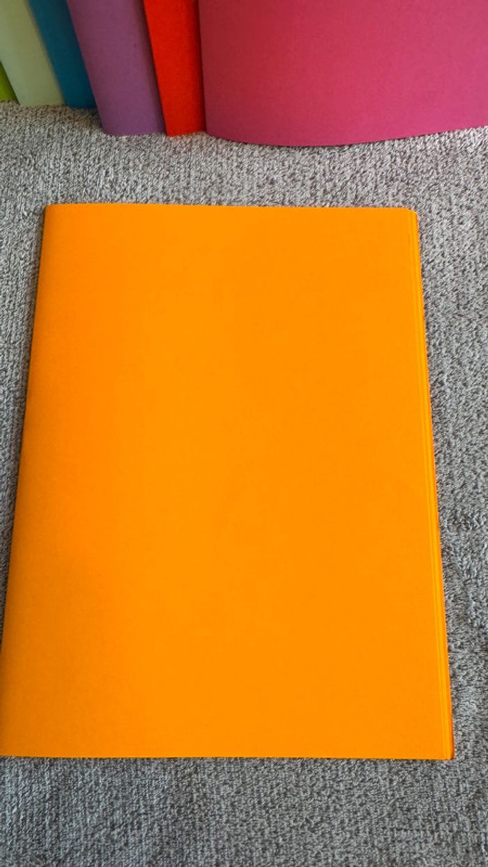 Ensemble de 6 chemises rigides orange